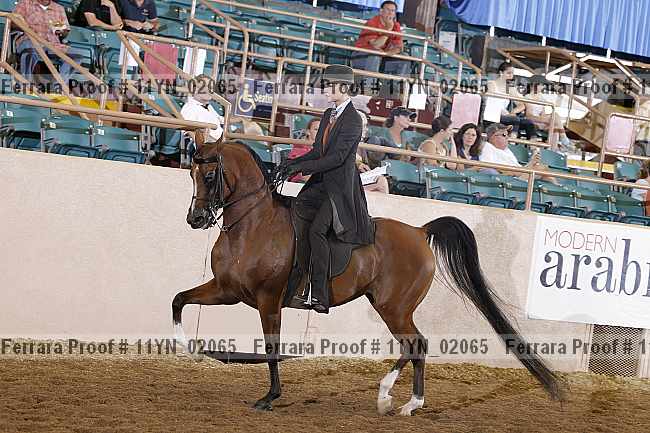 Proof 11yn_02065
