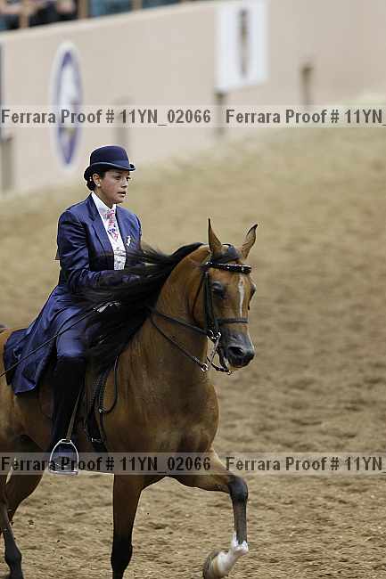 Proof 11yn_02066