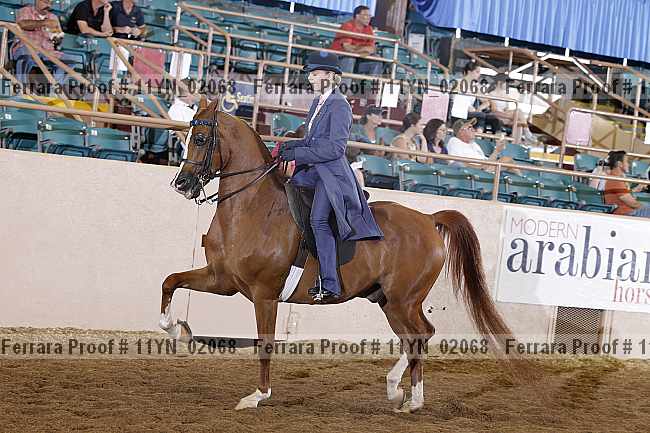 Proof 11yn_02068