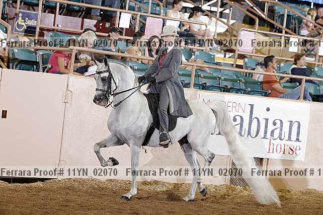 Proof 11yn_02070