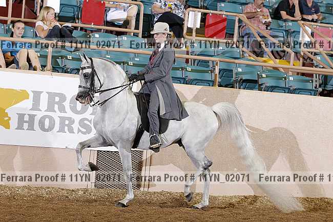 Proof 11yn_02071