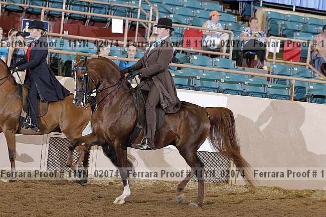 Proof 11yn_02074