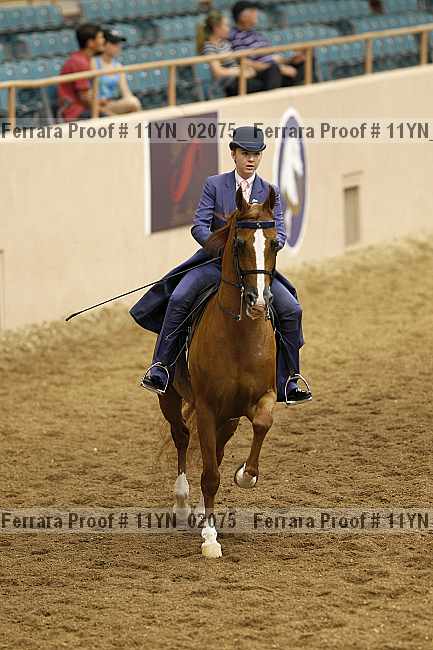 Proof 11yn_02075