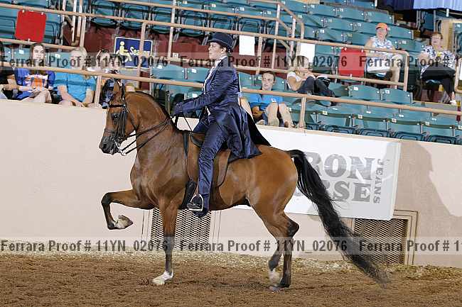 Proof 11yn_02076