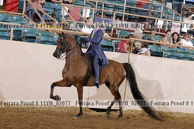 Proof 11yn_02077