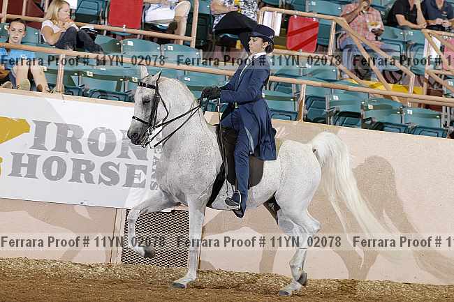 Proof 11yn_02078