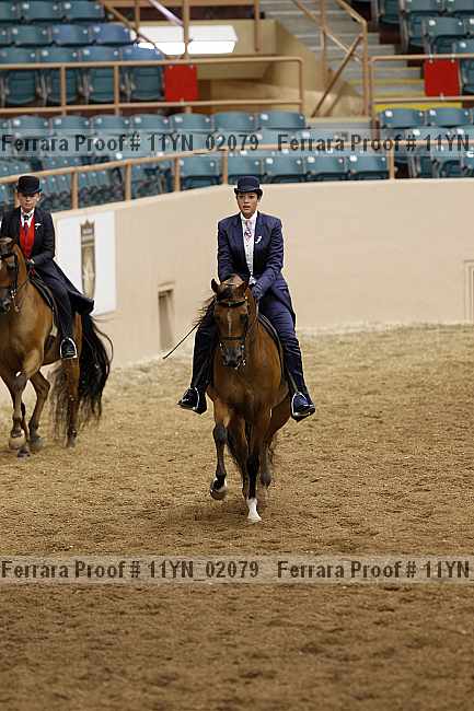 Proof 11yn_02079