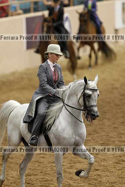 Proof 11yn_02081