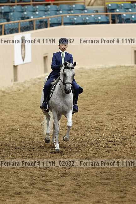 Proof 11yn_02082