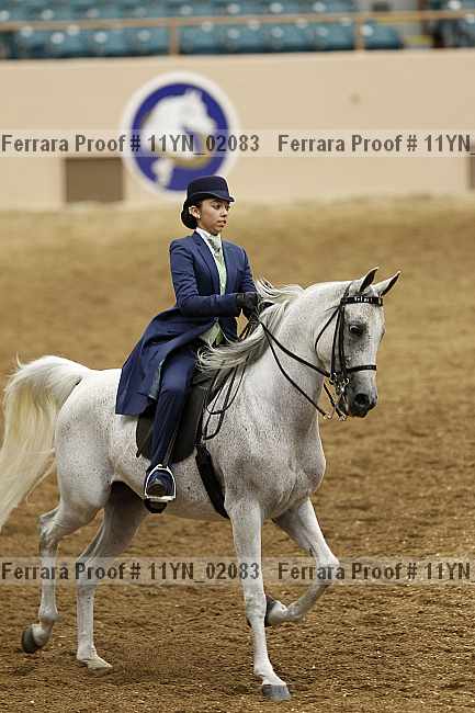 Proof 11yn_02083