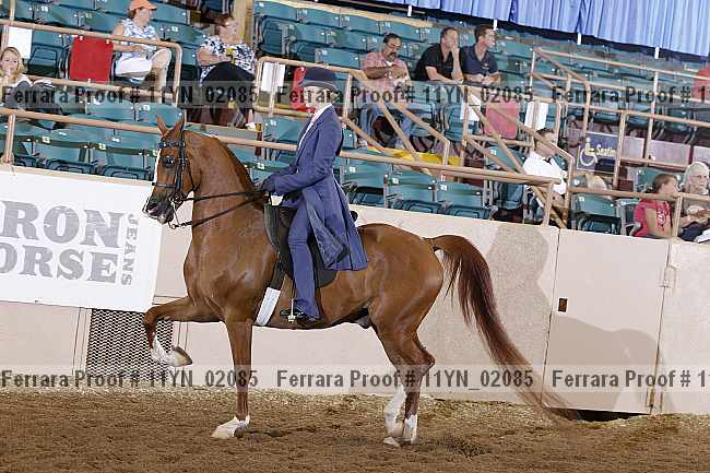 Proof 11yn_02085