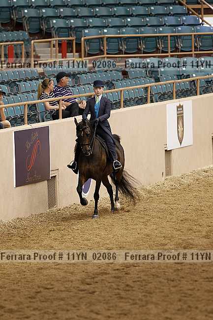 Proof 11yn_02086