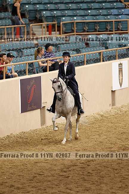 Proof 11yn_02087