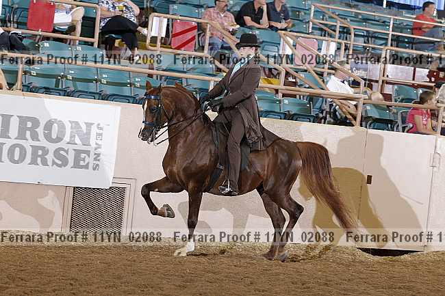 Proof 11yn_02088