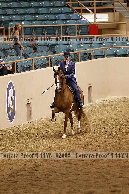 Proof 11yn_02089