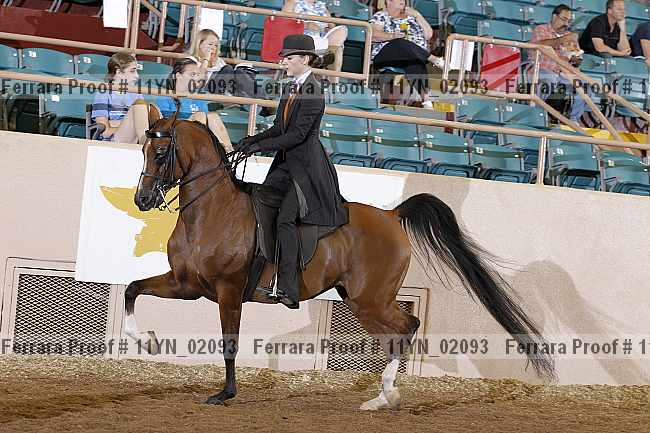 Proof 11yn_02093