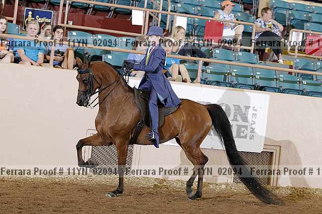 Proof 11yn_02094