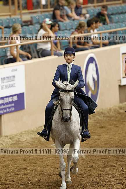 Proof 11yn_02095