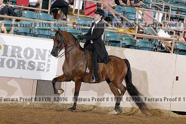 Proof 11yn_02096