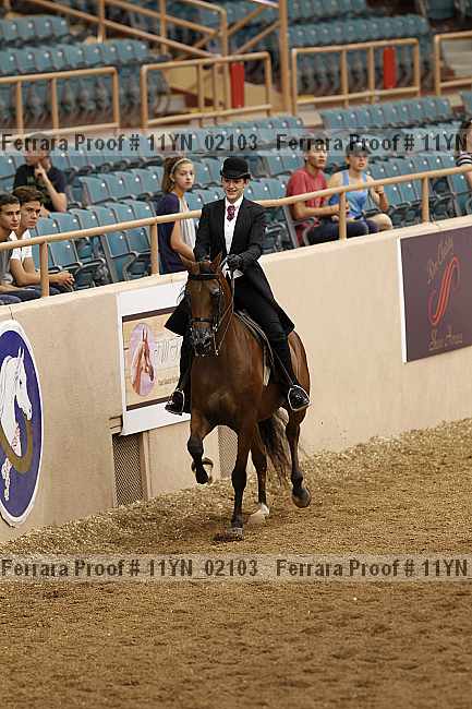 Proof 11yn_02103