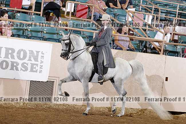 Proof 11yn_02108