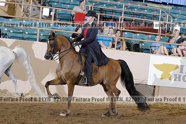 Proof 11yn_02109