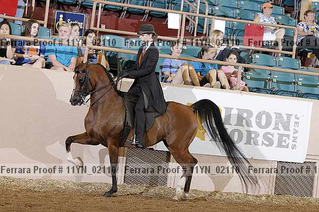 Proof 11yn_02110