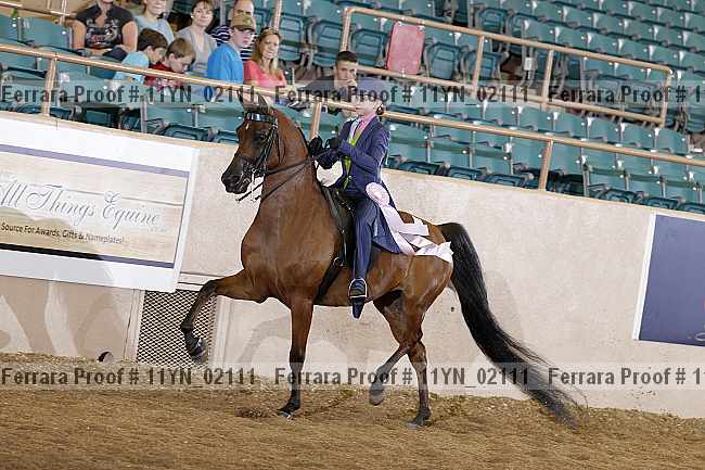 Proof 11yn_02111