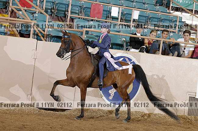 Proof 11yn_02112