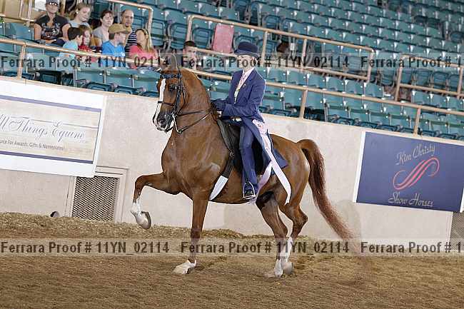 Proof 11yn_02114