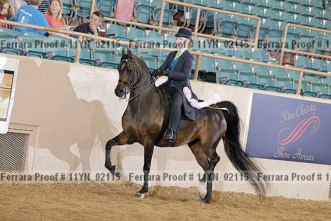 Proof 11yn_02115