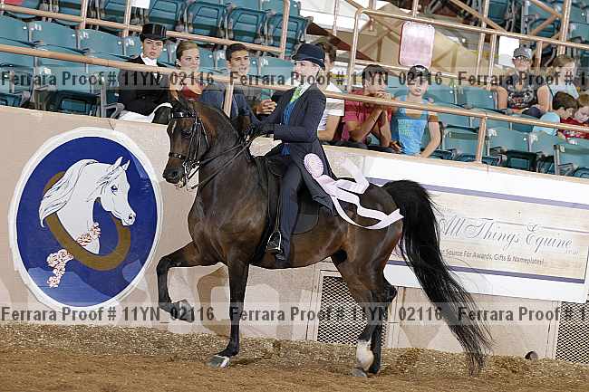 Proof 11yn_02116