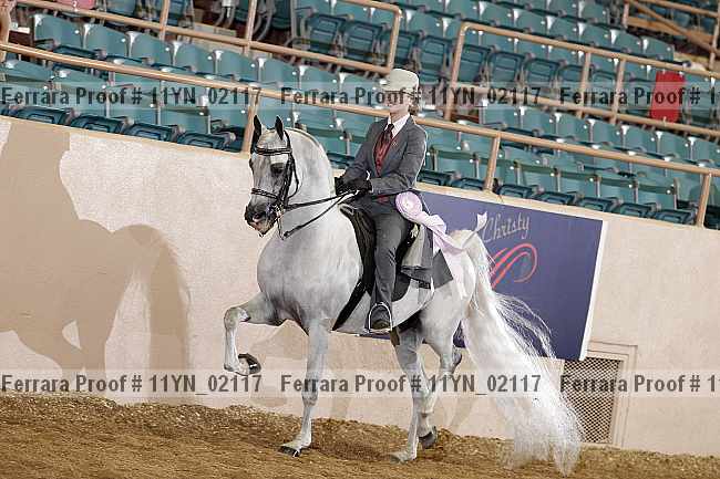 Proof 11yn_02117