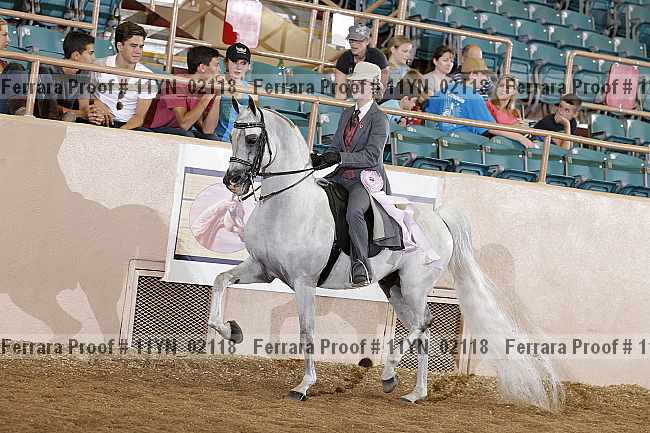 Proof 11yn_02118