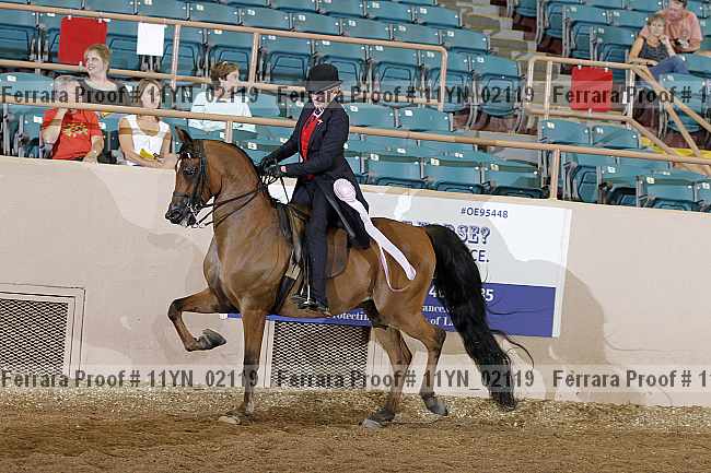 Proof 11yn_02119