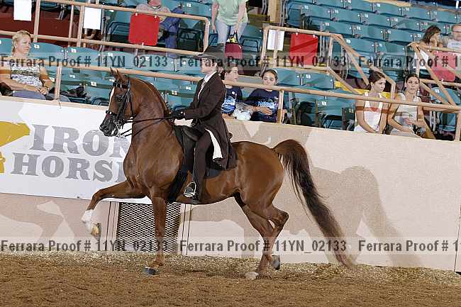 Proof 11yn_02133