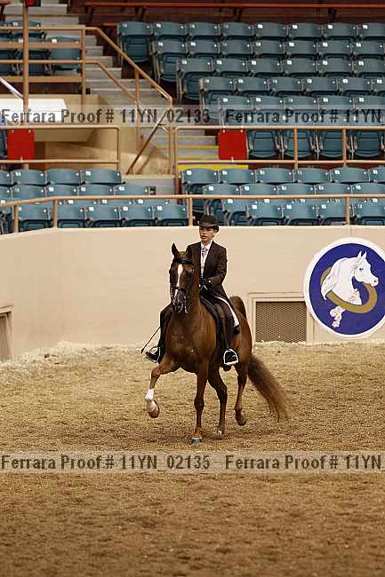 Proof 11yn_02135