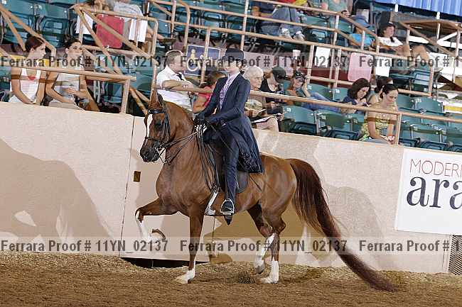 Proof 11yn_02137