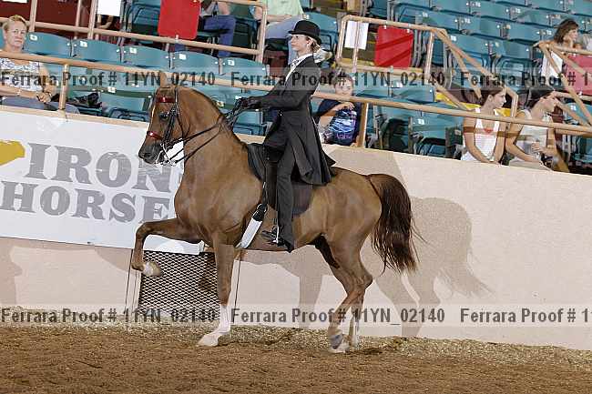 Proof 11yn_02140