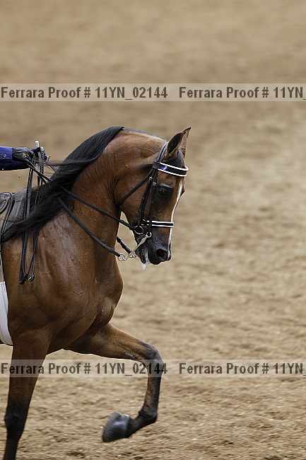 Proof 11yn_02144