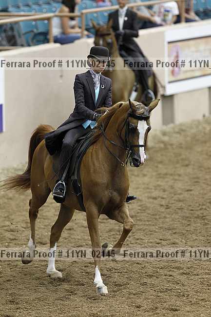 Proof 11yn_02145