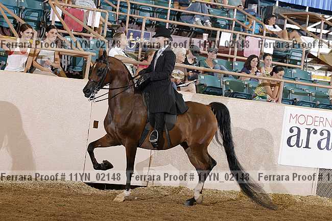 Proof 11yn_02148