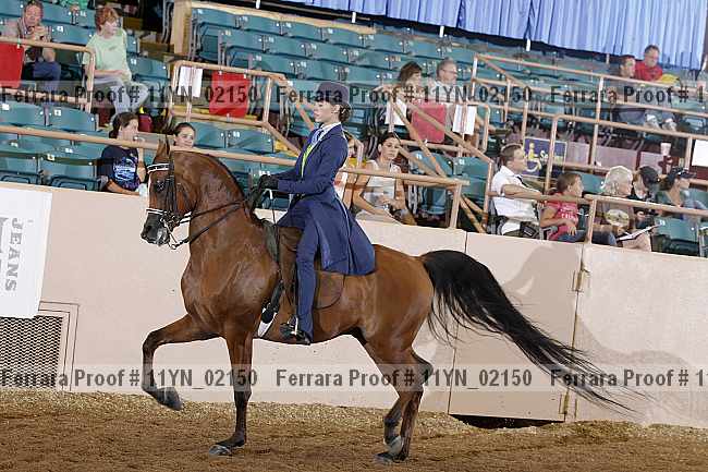 Proof 11yn_02150