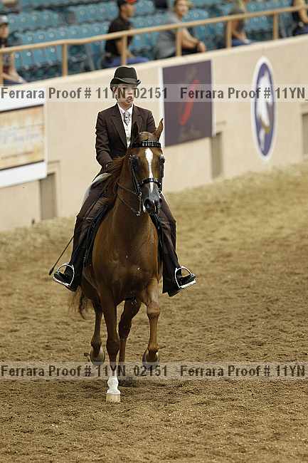 Proof 11yn_02151