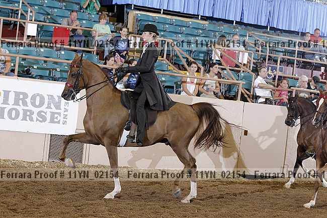 Proof 11yn_02154