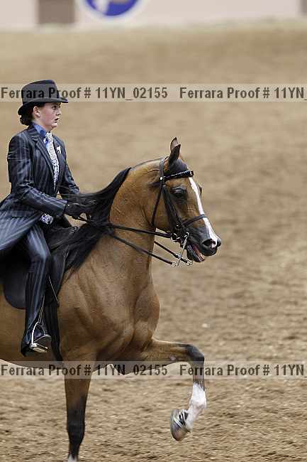 Proof 11yn_02155