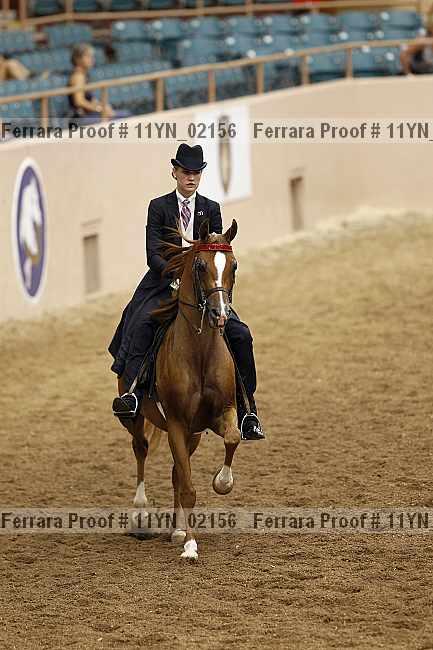 Proof 11yn_02156