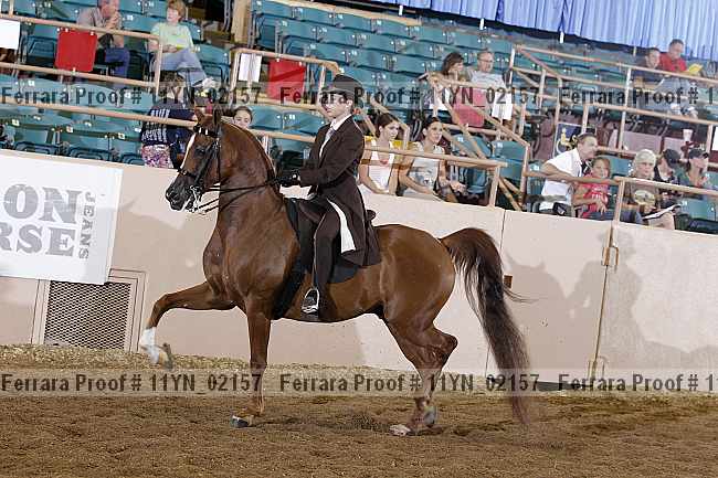 Proof 11yn_02157