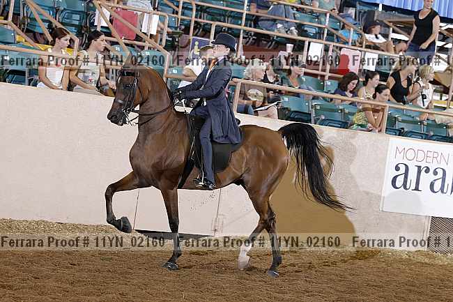 Proof 11yn_02160