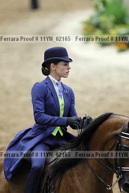 Proof 11yn_02165